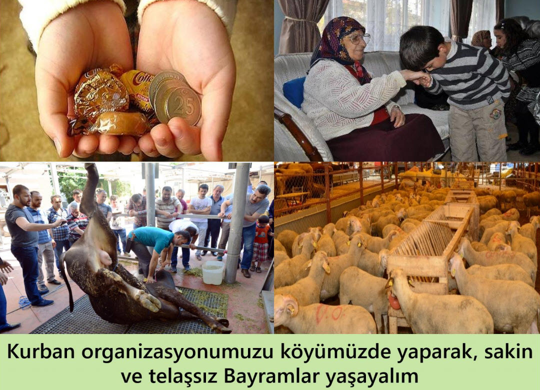 guzelyurt-tatil-koyu